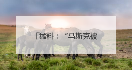 猛料：“马斯克被长期秘密监控！”