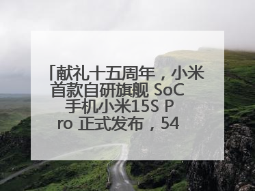 献礼十五周年，小米首款自研旗舰 SoC 手机小米15S Pro 正式发布，5499 元起售