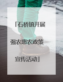 石桥镇开展强农惠农政策宣传活动