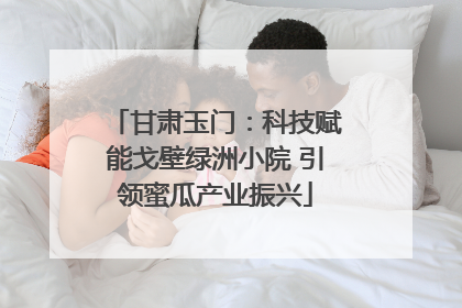 甘肃玉门：科技赋能戈壁绿洲小院 引领蜜瓜产业振兴