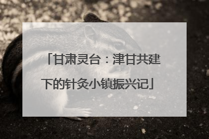 甘肃灵台：津甘共建下的针灸小镇振兴记