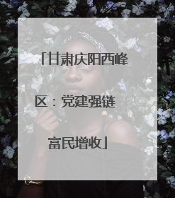 甘肃庆阳西峰区：党建强链 富民增收