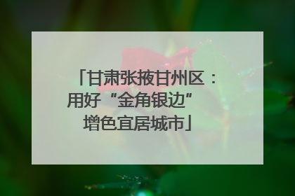 甘肃张掖甘州区：用好“金角银边” 增色宜居城市