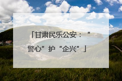 甘肃民乐公安：“警心”护“企兴”
