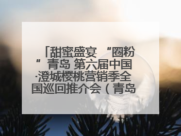 甜蜜盛宴 “圈粉”青岛 第六届中国·澄城樱桃营销季全国巡回推介会（青岛站）成功举办