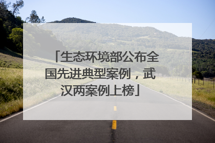 生态环境部公布全国先进典型案例，武汉两案例上榜