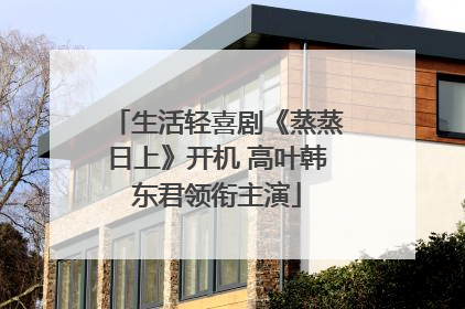生活轻喜剧《蒸蒸日上》开机 高叶韩东君领衔主演