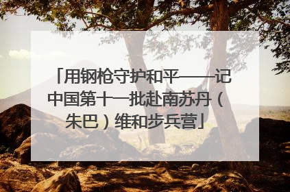 用钢枪守护和平——记中国第十一批赴南苏丹（朱巴）维和步兵营