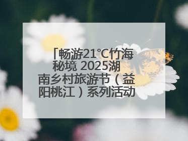 畅游21℃竹海秘境 2025湖南乡村旅游节（益阳桃江）系列活动5月29日启幕
