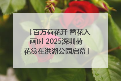 百万荷花开 簪花入画时 2025深圳荷花赏在洪湖公园启幕