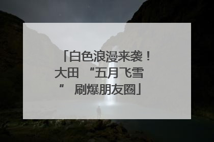 白色浪漫来袭！大田 “五月飞雪” 刷爆朋友圈