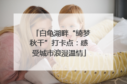 白龟湖畔“绮梦秋千”打卡点：感受城市浪漫温情