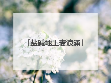 盐碱地上麦浪涌