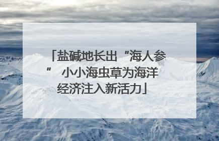 盐碱地长出“海人参” 小小海虫草为海洋经济注入新活力