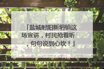 盐城射阳新坍镇这场宣讲，村民抢着听，句句说到心坎！