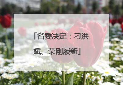 省委决定：刁洪斌、荣刚履新