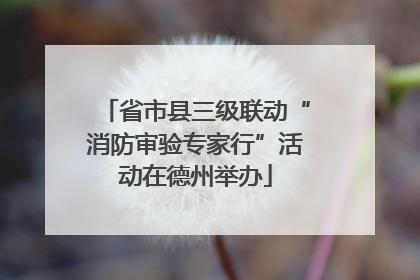 省市县三级联动“消防审验专家行”活动在德州举办