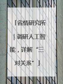 省情研究所｜调研人工智能，详解“三对关系”