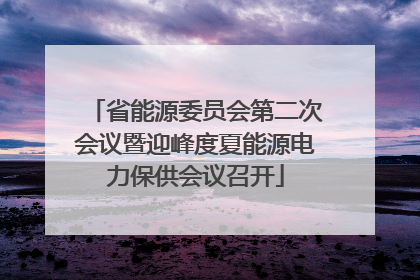 省能源委员会第二次会议暨迎峰度夏能源电力保供会议召开