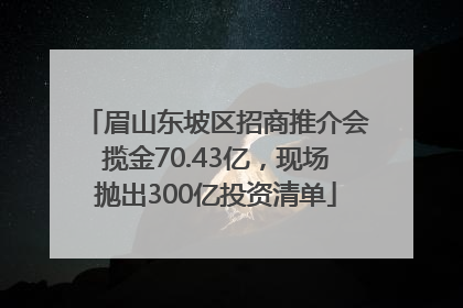 眉山东坡区招商推介会揽金70.43亿，现场抛出300亿投资清单