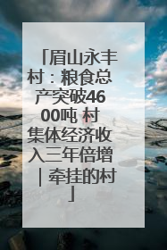 眉山永丰村：粮食总产突破4600吨 村集体经济收入三年倍增｜牵挂的村