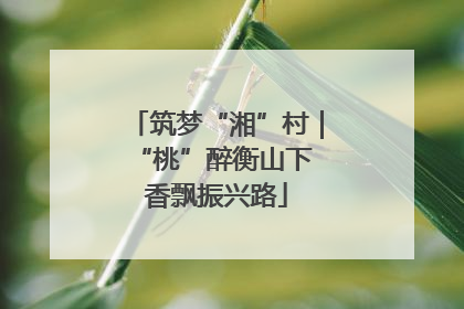 筑梦“湘”村｜“桃”醉衡山下 香飘振兴路