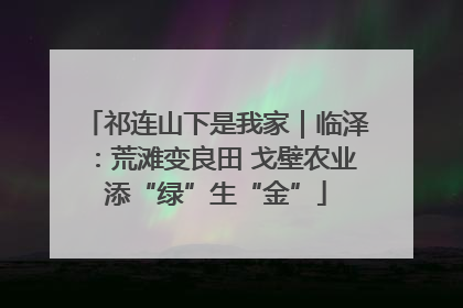 祁连山下是我家｜临泽：荒滩变良田 戈壁农业添“绿”生“金”