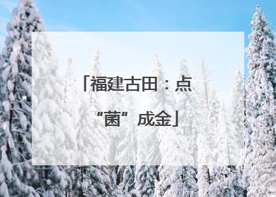 福建古田：点“菌”成金