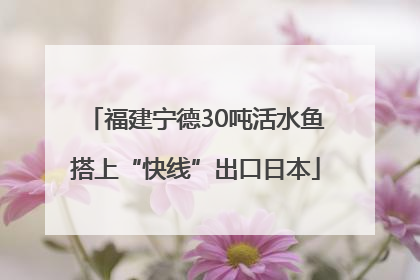 福建宁德30吨活水鱼搭上“快线”出口日本