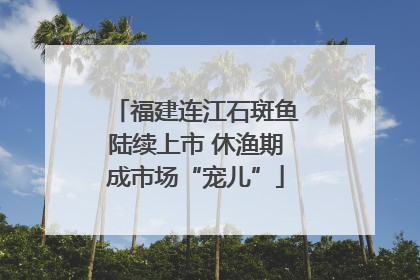 福建连江石斑鱼陆续上市 休渔期成市场“宠儿”