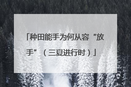 种田能手为何从容“放手”（三夏进行时）