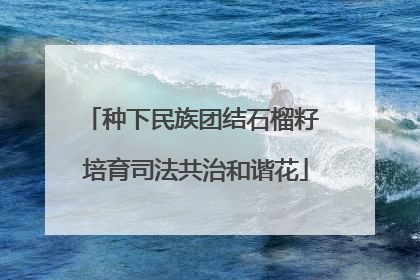 种下民族团结石榴籽 培育司法共治和谐花