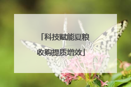 科技赋能夏粮收购提质增效