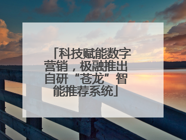 科技赋能数字营销，极融推出自研“苍龙”智能推荐系统