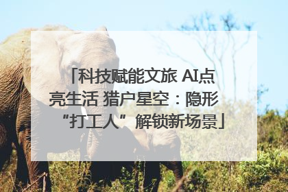 科技赋能文旅 AI点亮生活 猎户星空：隐形“打工人”解锁新场景