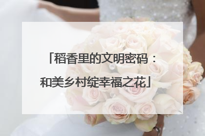 稻香里的文明密码：和美乡村绽幸福之花