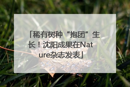 稀有树种“抱团”生长！沈阳成果在Nature杂志发表