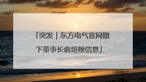 突发｜东方电气官网撤下董事长俞培根信息