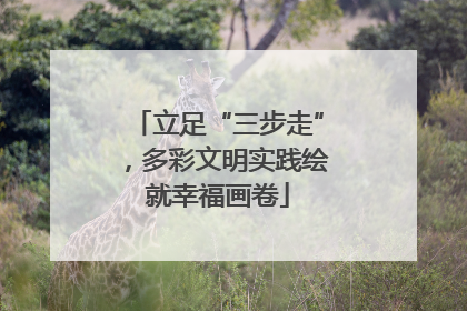立足“三步走”，多彩文明实践绘就幸福画卷