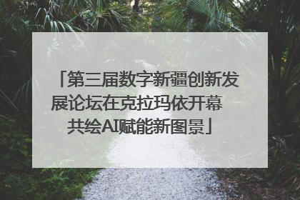 第三届数字新疆创新发展论坛在克拉玛依开幕 共绘AI赋能新图景