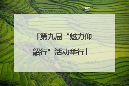 第九届“魅力仰韶行”活动举行