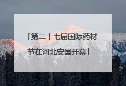 第二十七届国际药材节在河北安国开幕