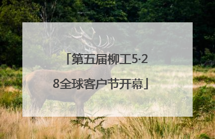 第五届柳工5·28全球客户节开幕