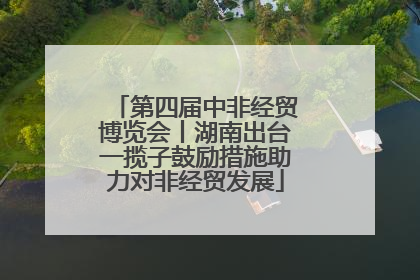 第四届中非经贸博览会丨湖南出台一揽子鼓励措施助力对非经贸发展