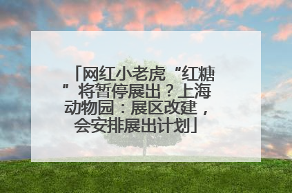 网红小老虎“红糖”将暂停展出？上海动物园：展区改建，会安排展出计划