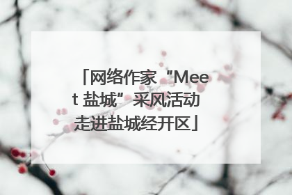 网络作家“Meet 盐城”采风活动走进盐城经开区
