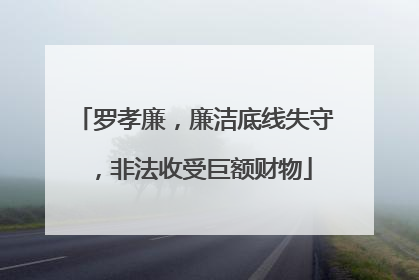 罗孝廉，廉洁底线失守，非法收受巨额财物