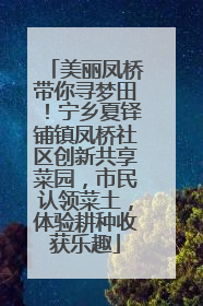 美丽凤桥带你寻梦田！宁乡夏铎铺镇凤桥社区创新共享菜园，市民认领菜土，体验耕种收获乐趣