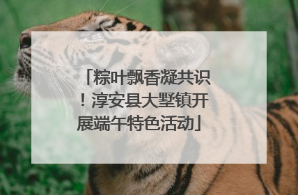 粽叶飘香凝共识！淳安县大墅镇开展端午特色活动