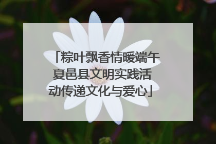 粽叶飘香情暖端午 夏邑县文明实践活动传递文化与爱心